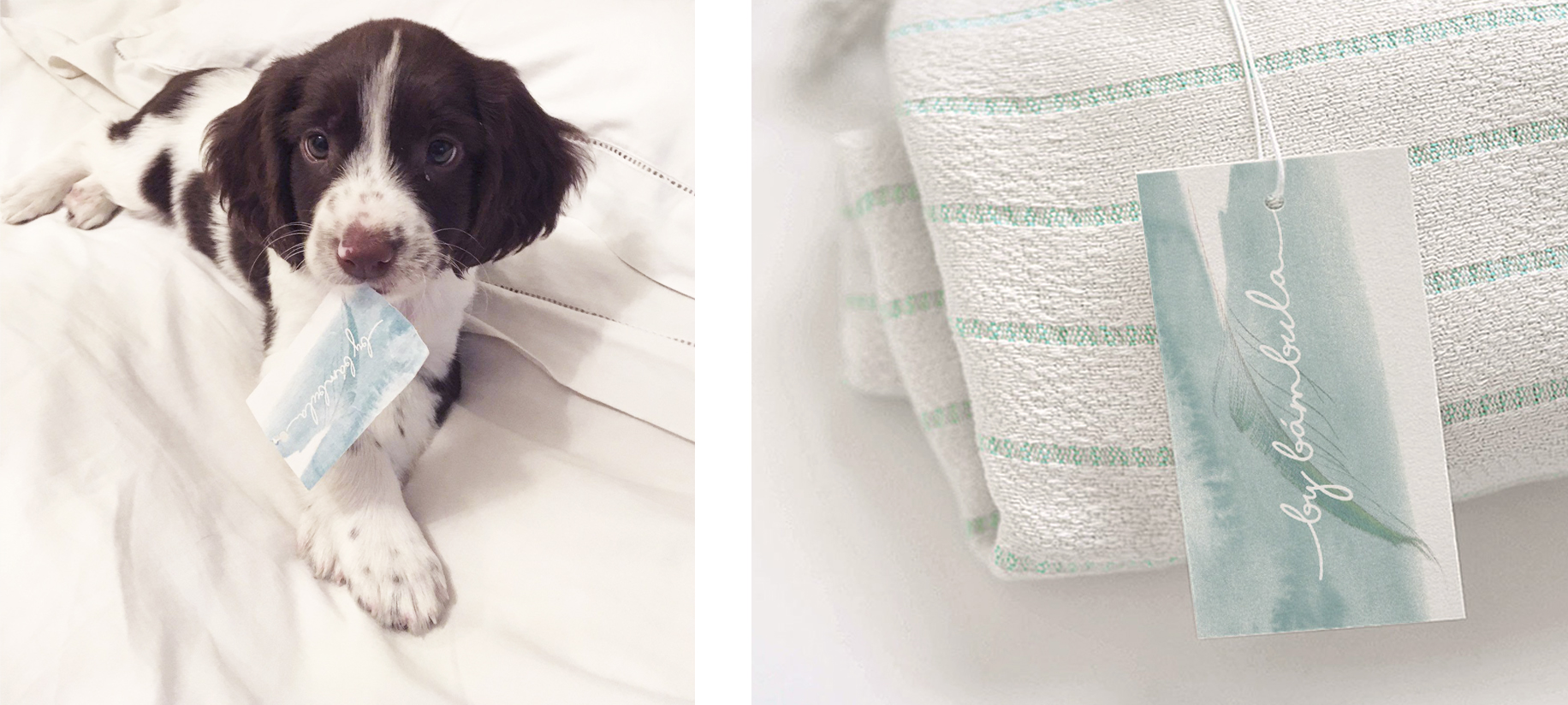 Estudi Blanc I Bàrbara Blanc I Disseny - Projectes - By Bámbula