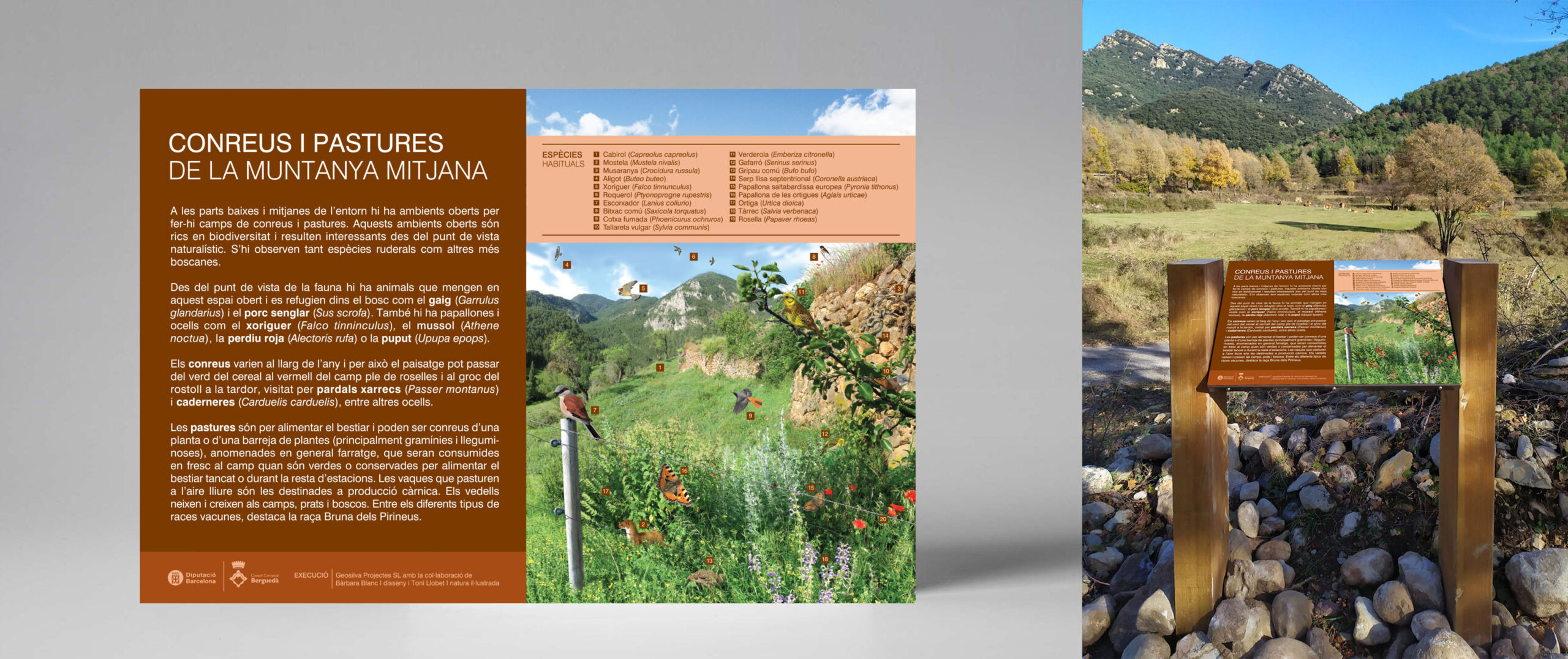 Estudi Blanc I Bàrbara Blanc I Disseny - Projectes - Presa de la Baells