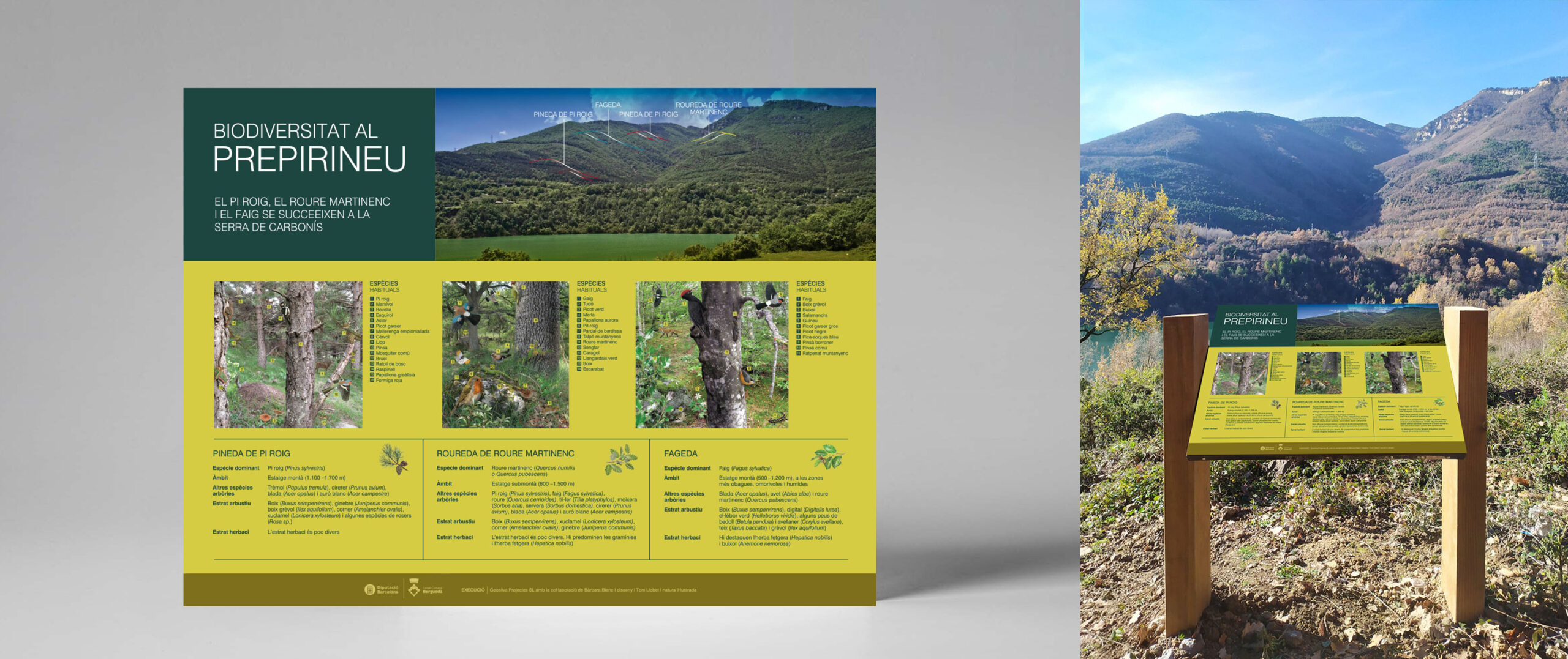 Estudi Blanc I Bàrbara Blanc I Disseny - Projectes - Presa de la Baells